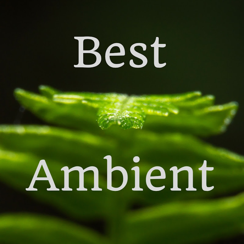 Best Ambient
