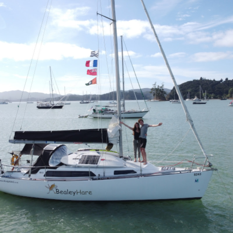rabbitonthepacific274