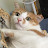 youtube avatar
