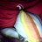 @younesmerozen1889's avatar