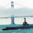 @Francisco.Pampanito Avatar