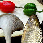 villfood Net Worth