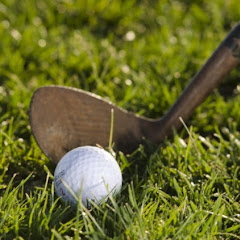 国内女子ゴルフツアー速報アイコン画像