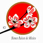 Sakura Bienes Raices logo