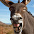 youtube avatar