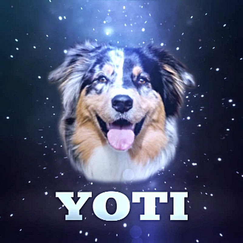 Channel Avatar