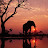@duainesimpson274 Avatar