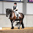 @dressagedivauk