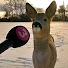 7BsJVeqN2z8-channel-avatar-Laila