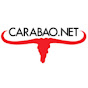Carabao Net