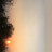 @tenzindhargyal1736