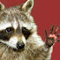 Sm5m6sLOBpc-channel-avatar-ratonnelaveur