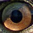 cNajmk06tus-channel-avatar-Jim