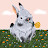 @바니당근-o6v