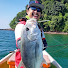 ylfIy817j4c-channel-avatar-Luie On The Move