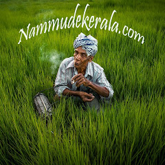 Nammude Kerala channel logo