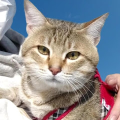 小鉄チャンネル