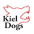 fxSMd1KQ_WI-channel-avatar-Kiel Dogs