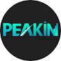 Peakin Learning Technologies Private Limited logo