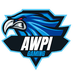 Awpi Gaming Avatar