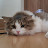 @hwang21cc