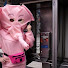 GzX1oTv0YkY-channel-avatar-The Future Heart