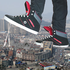 Macro Stomping net worth