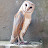 @pratikbasu7575's avatar