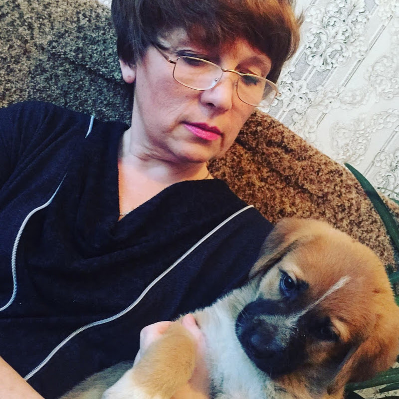 В гостях у хозяюшки Logo