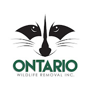 Ontario Wildlife Removal Inc.