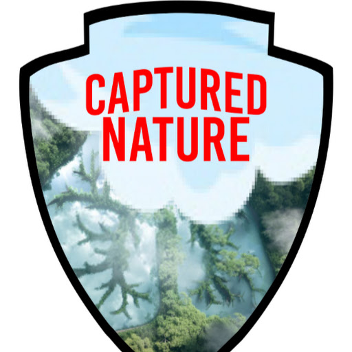 Captured Nature