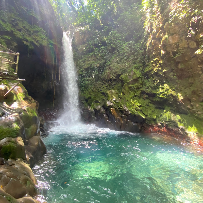 Costa Rican Safari