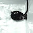 pU6KqLsGWsY-channel-avatar-club240net