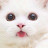 @소오오그음