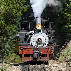 Steam Heritage Video net worth