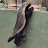 @Krish_Tiwari-e9g