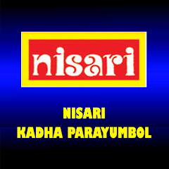 NISARI KADHAPARAYUMBOL channel logo