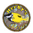 fQ6XazgNB7Q-channel-avatar-Herby’s Reef