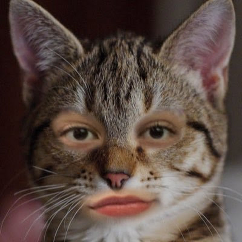 Tcatty