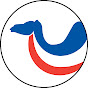Camels Can Swim logo