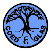 Coed Glas