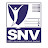 SNV International School