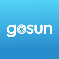 GoSun net worth