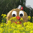 A8VpzRbKpAI-channel-avatar-Horst W. Budweg