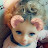 @فاتنيعقوبنبهانالثامن