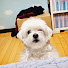 2Ym81lJyxM4-channel-avatar-브하
