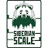 _1MmEDw_ctw-channel-avatar-Siberian scale - Сибирский масштаб