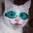 @SSJ4Lunchbox's avatar