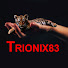 pYEL0N2Qtdg-channel-avatar-Trionix83