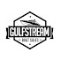 2tcHNQBPG4Q-channel-avatar-GulfStreamBoats